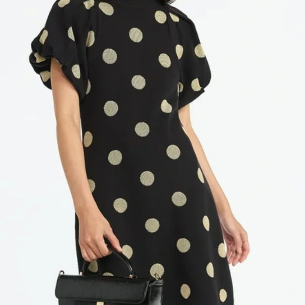SCOOP NWT Dress with Tan Polka Dots - Puff Sleeve Fit Flare Shift Dress sz 12/14 - Picture 5 of 10